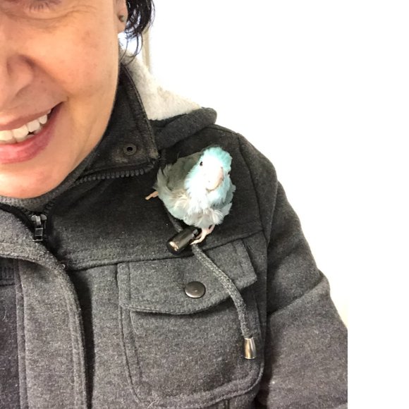 Meet your Posher, Savannagh - Picture 3 of 5